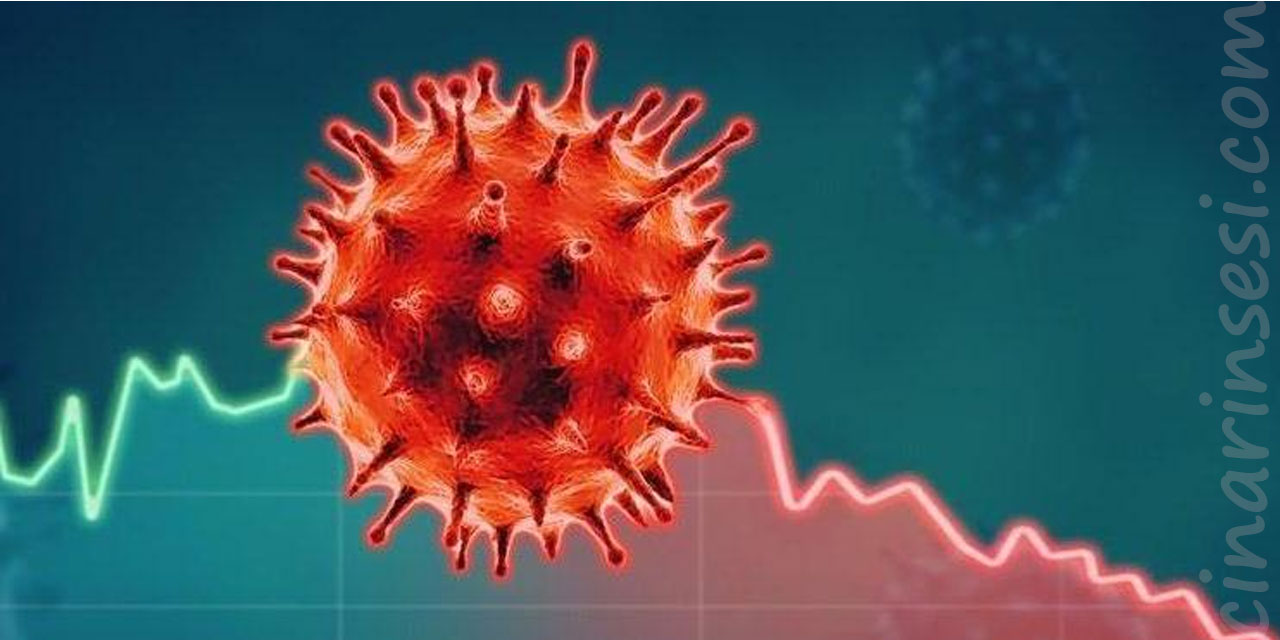 Virüs Günlüğü 4