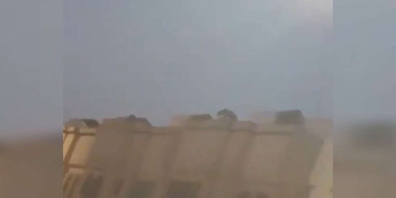 Evin çatısında dolaşan yırtıcı aslan paniğe neden oldu