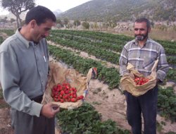 Konyalı çiftçilere organik destek