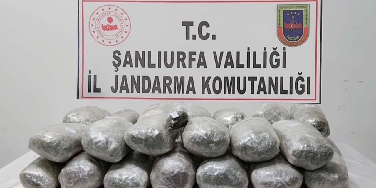 Mardin merkezli operasyonda 243 kilogram esrar ele geçirildi