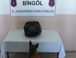 Bingöl'de Esrar Operasyonu