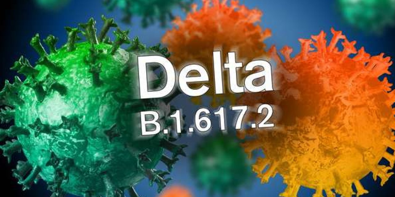 Almanya'da Covid-19 salgınında Delta varyantı endişesi artıyor