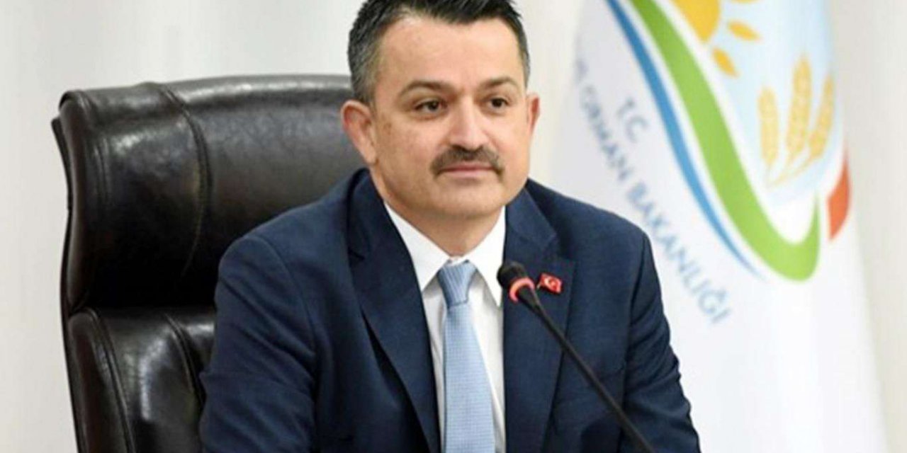 Üreticilere destek ödemeleri bugün başlıyor