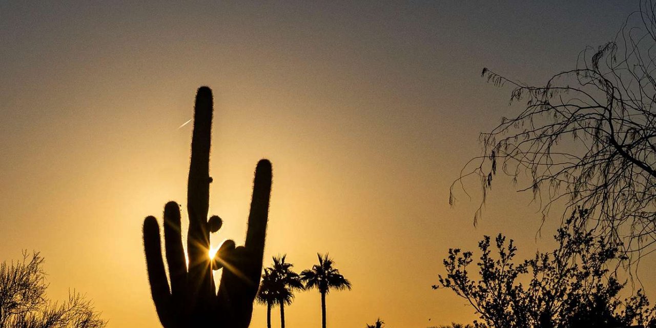 ABD'de sıcaklar nedeniyle yaklaşık 200 kişi bir haftada öldü