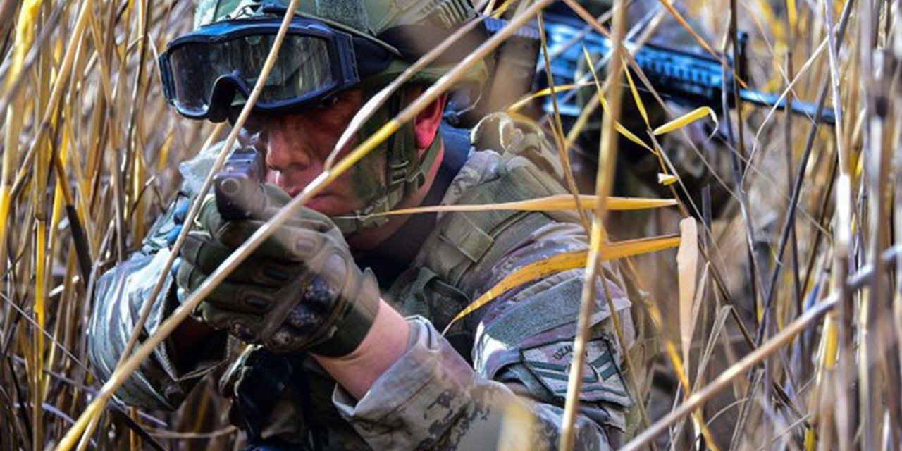 Fırat Kalkanı ve Barış Pınarı bölgelerinde 5 PKK elemanı öldürüldü