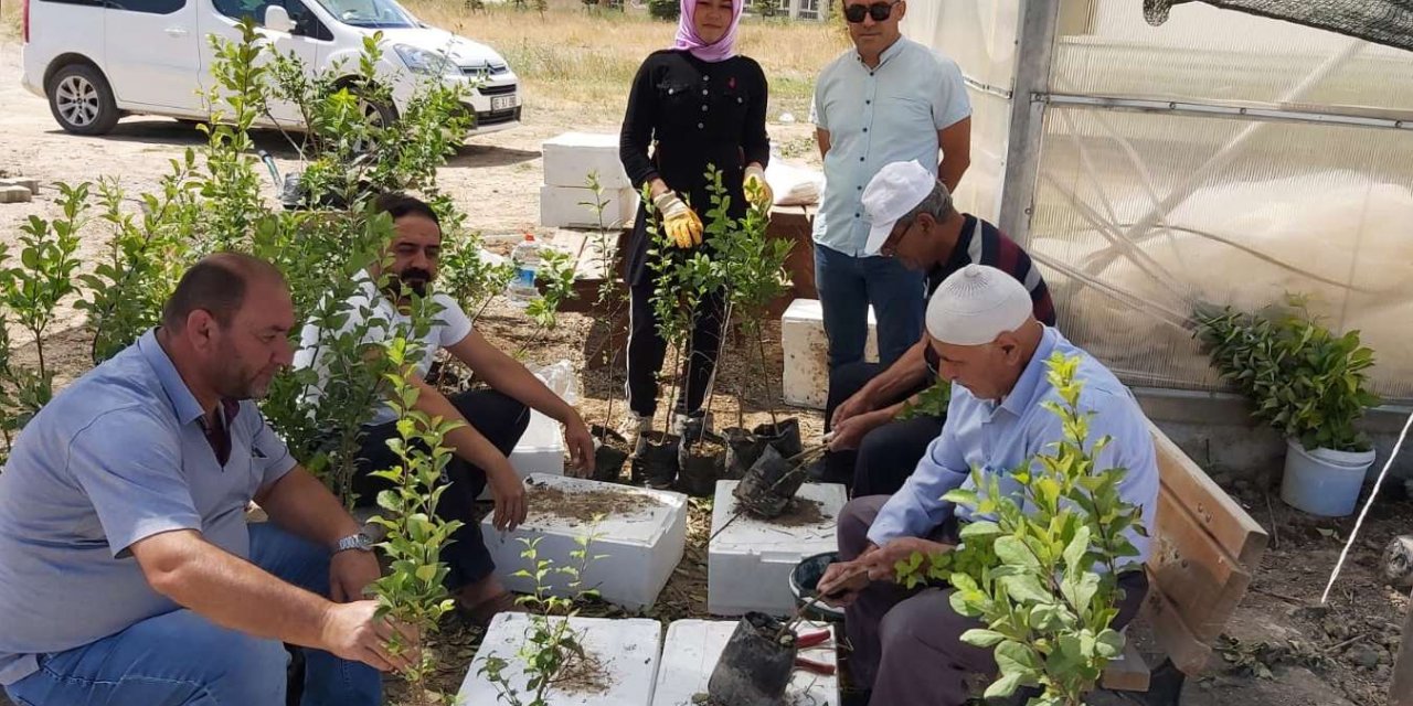 Van'da yerel meyve ve sebze çeşitliliğini artırmak için aşılama çalışmalarına başlandı