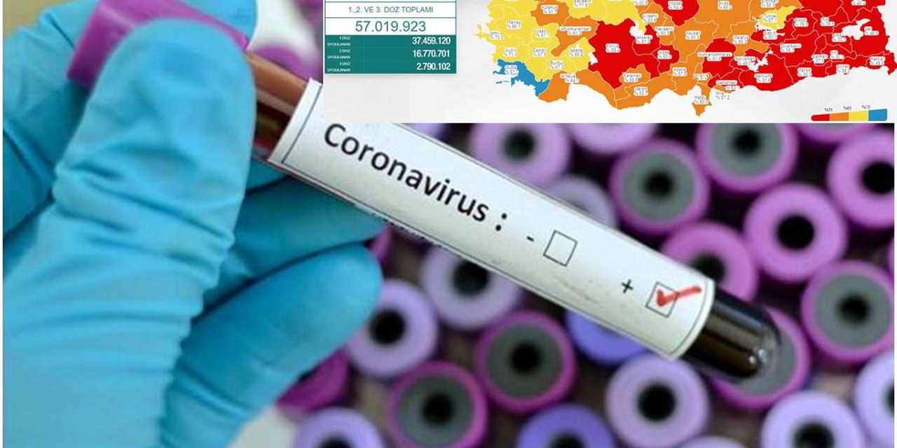 Türkiye'de son 24 saatte 59 kişi Covid-19 salgınından vefat etti