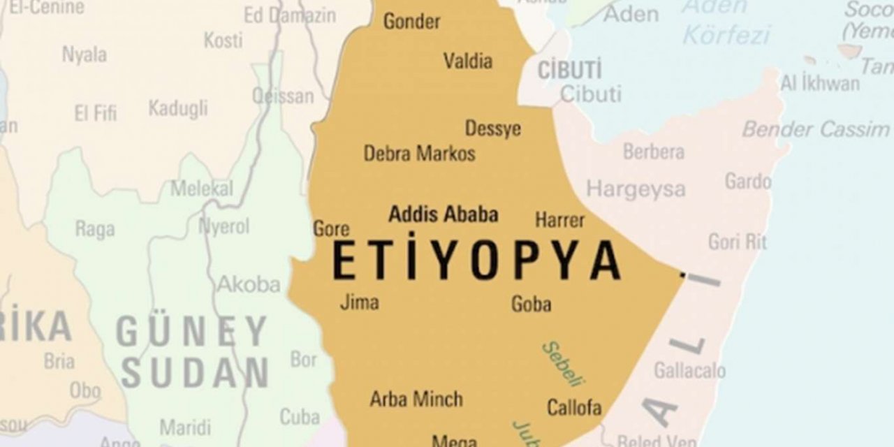 Etiyopya'da seçim sonuçları belli oldu