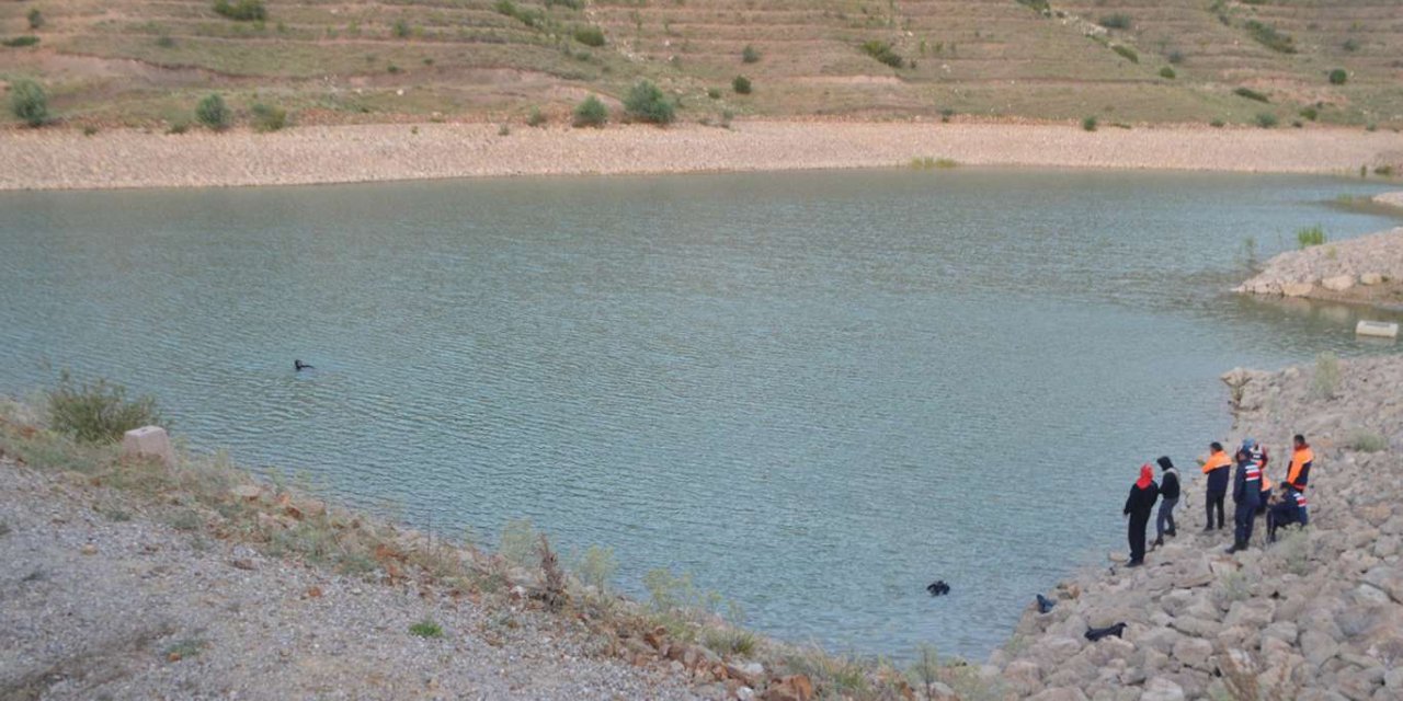 Li Afyonkarahîsarê 2 birayên ku ketin golê xeniqîn