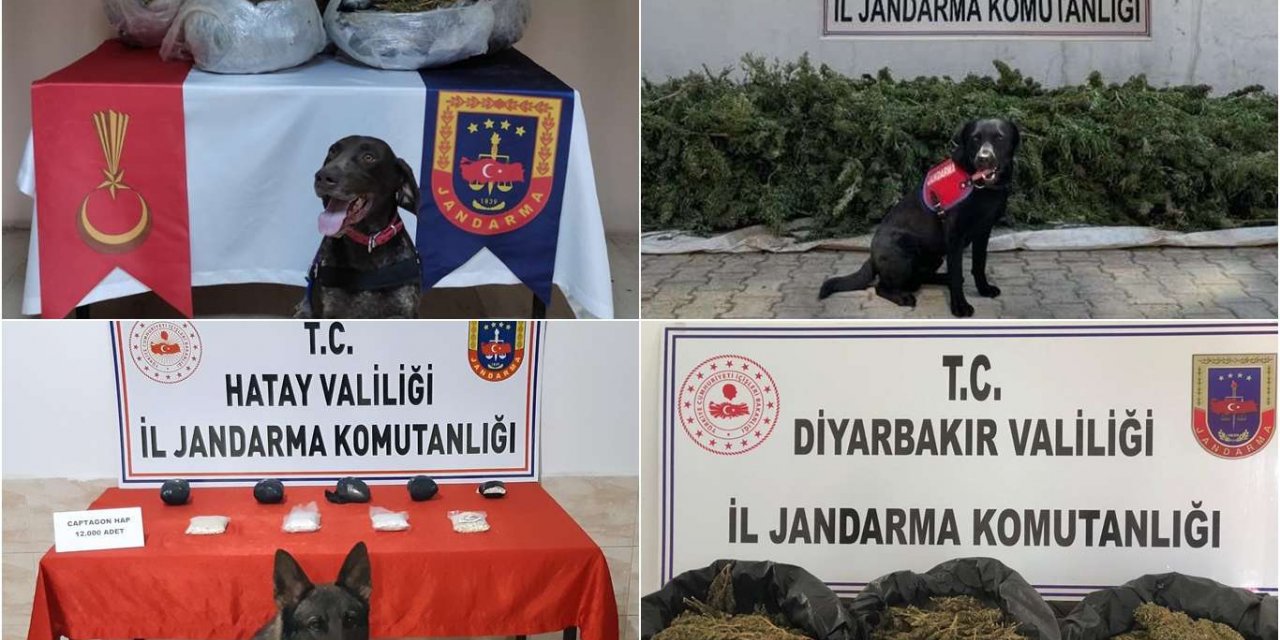 4 ilde uyuşturucu operasyonunda 6 şüpheli yakalandı