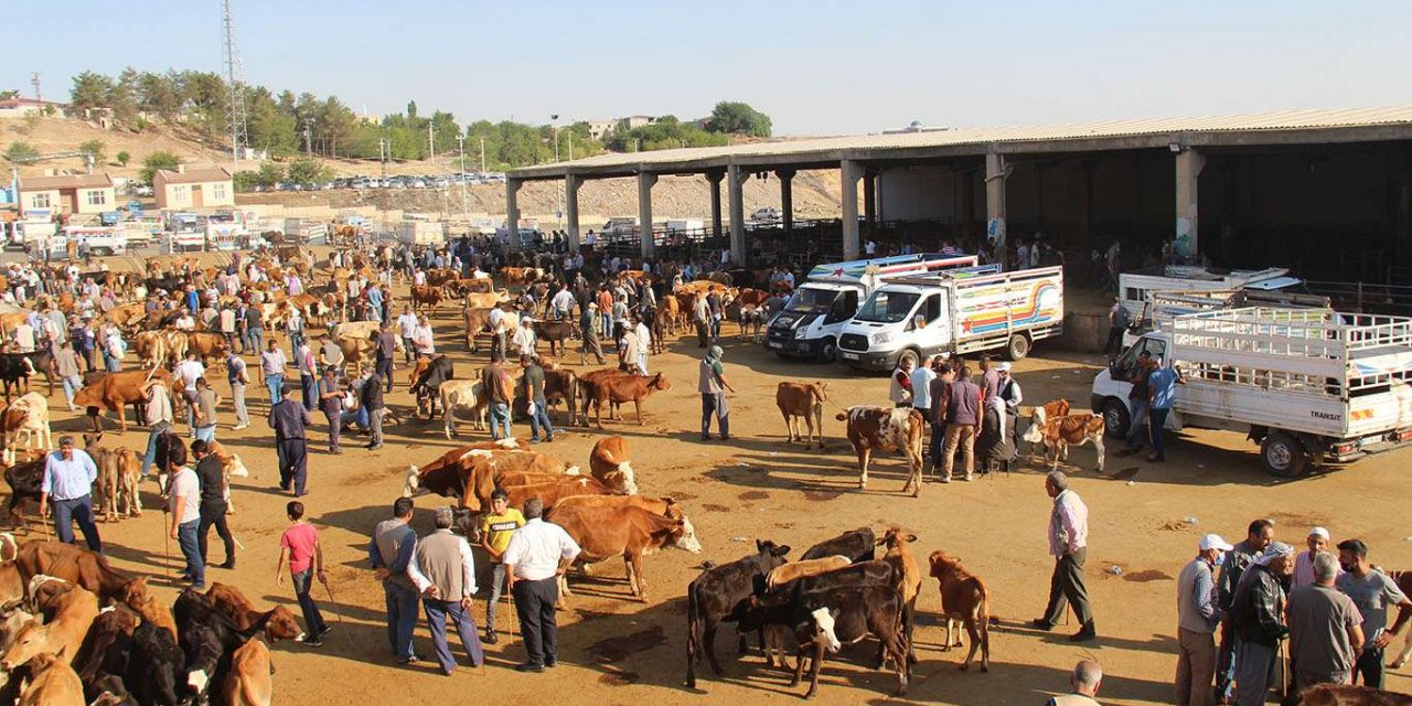 Hayvan pazarında satıcı var alıcı yok