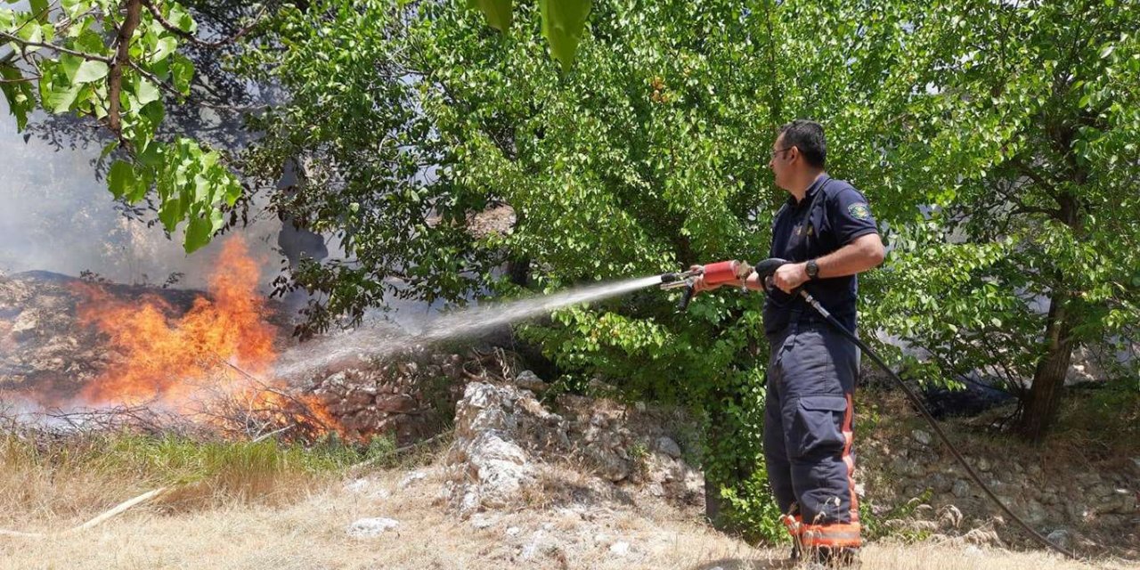 Bahçe yangının da çok sayıda meyve ağacı zarar gördü