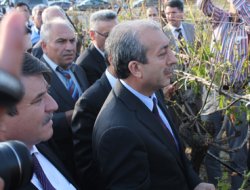 Eker, dolu vuran bağlarda incelemelerde bulundu