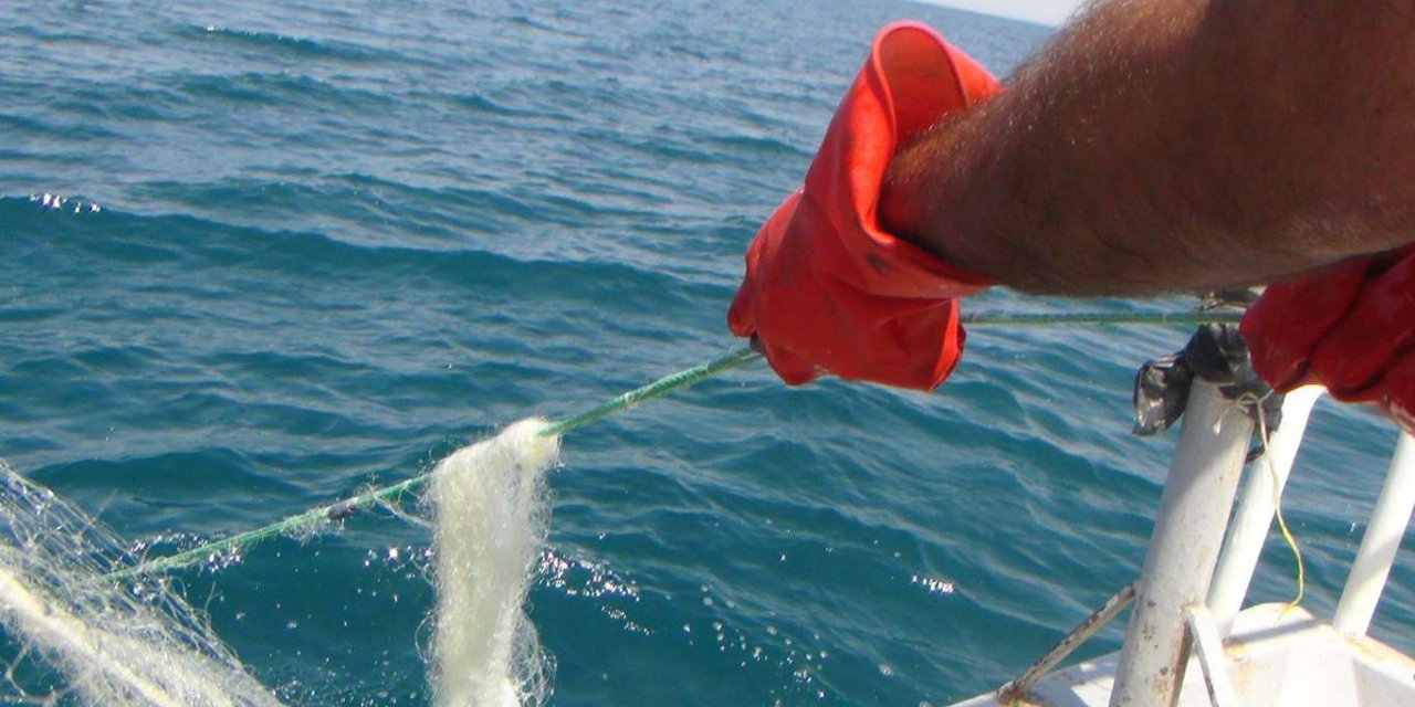 İnci Kefali üreme dönemi av yasağı sona erdi