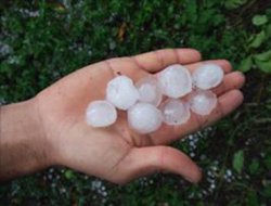 Elazığ'da dolu zarar tespiti çalışmaları başladı