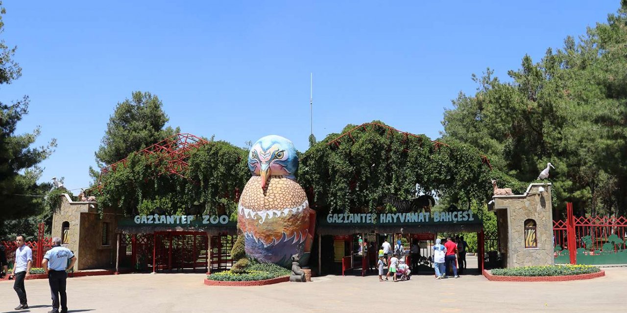 Gaziantep Hayvanat Bahçesi’ndeki ziyaretçiler korku dolu anları anlattı