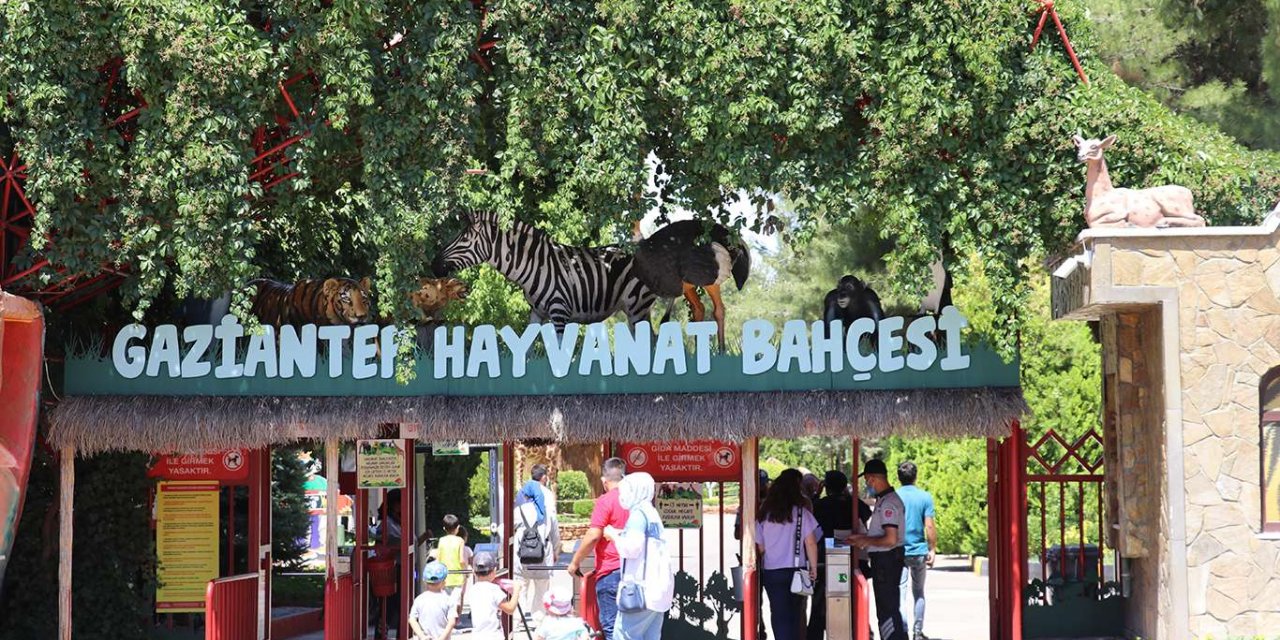 Aslanın bakıcısını yaraladığı Gaziantep Hayvanat Bahçesi tekrar ziyarete açıldı
