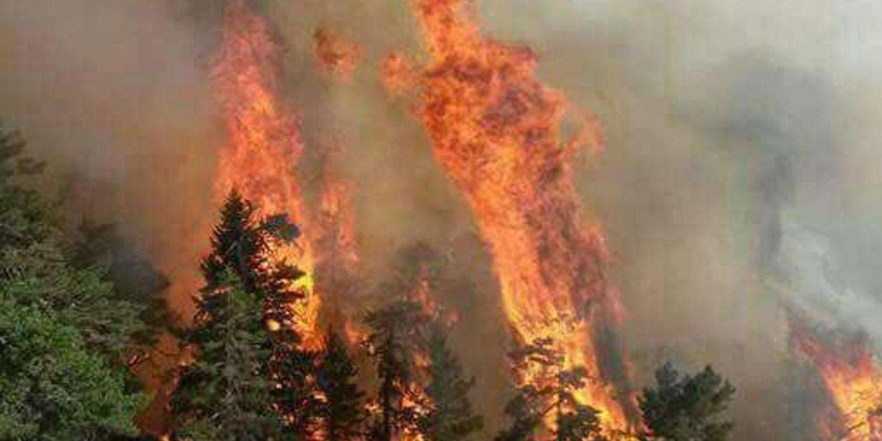 Li Hatayê di daristanê de şewat