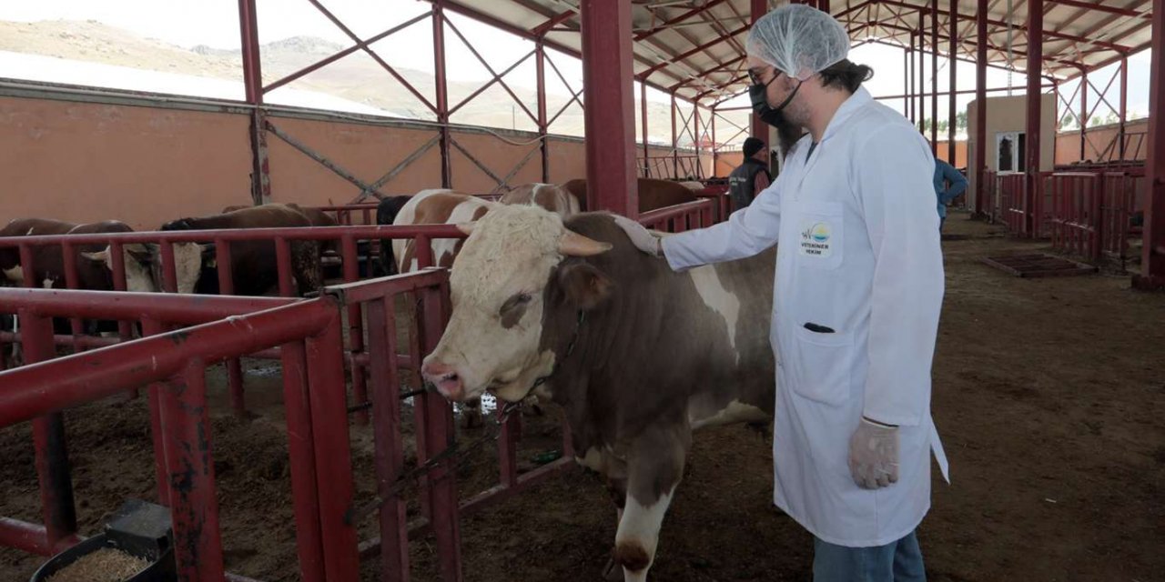 ​Van'da kurbanlık denetimleri sıklaştırıldı