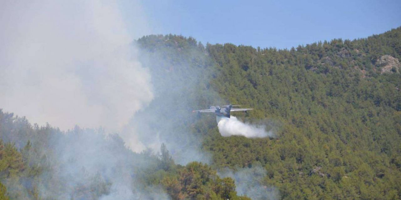 Hatay ve Mersin'de orman yangını: 50 ev tedbir amaçlı tahliye edildi