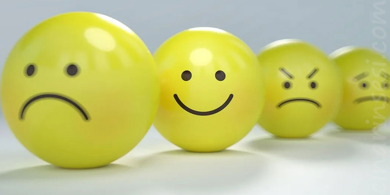 Duygularımız davranışlarımızın kontrol zabıtası mı?