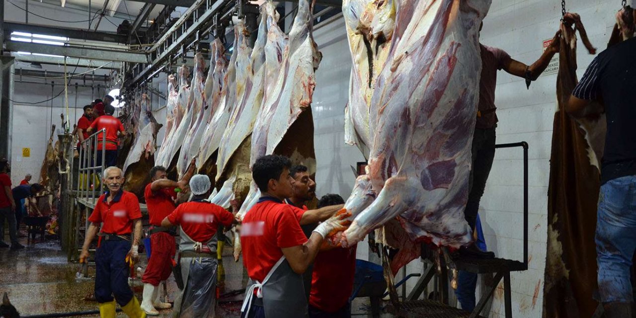 Yetimler Vakfı, on binlerce aileye kurban eti dağıtmaya hazırlanıyor