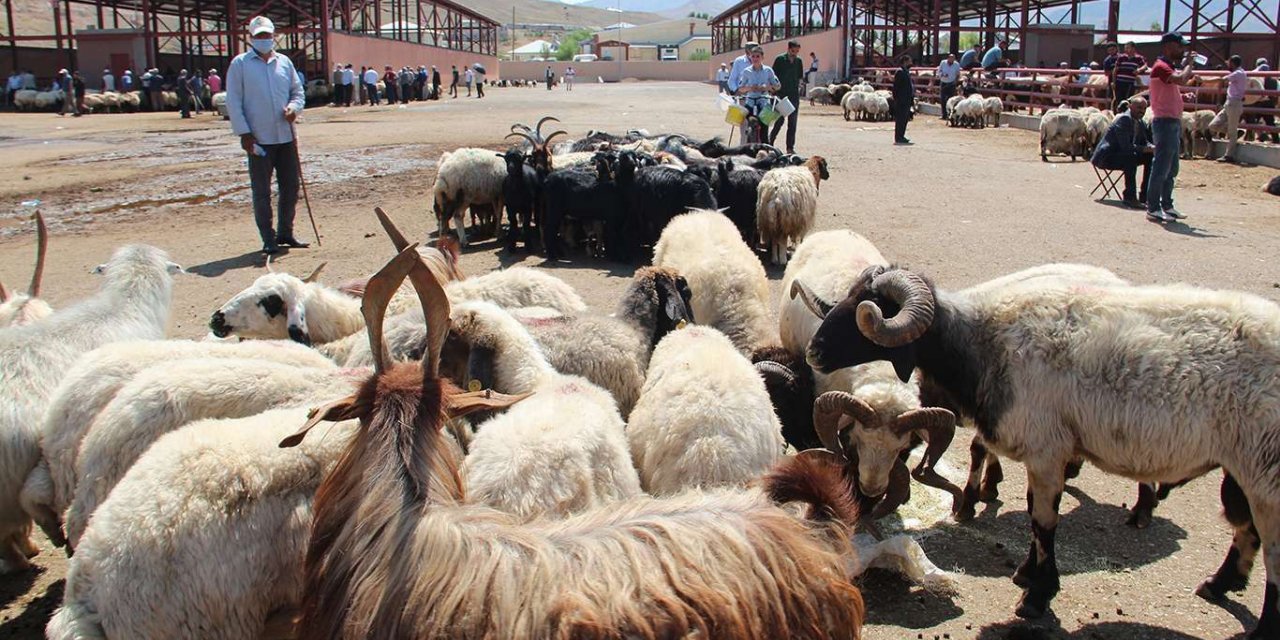 Tarım ve Orman Bakanlığı: Satılamayan kurbanlıkları Et ve Süt Kurumu alacak