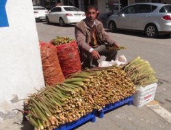 Uçkun ve Mantar fiyatları dudak uçuklatıyor