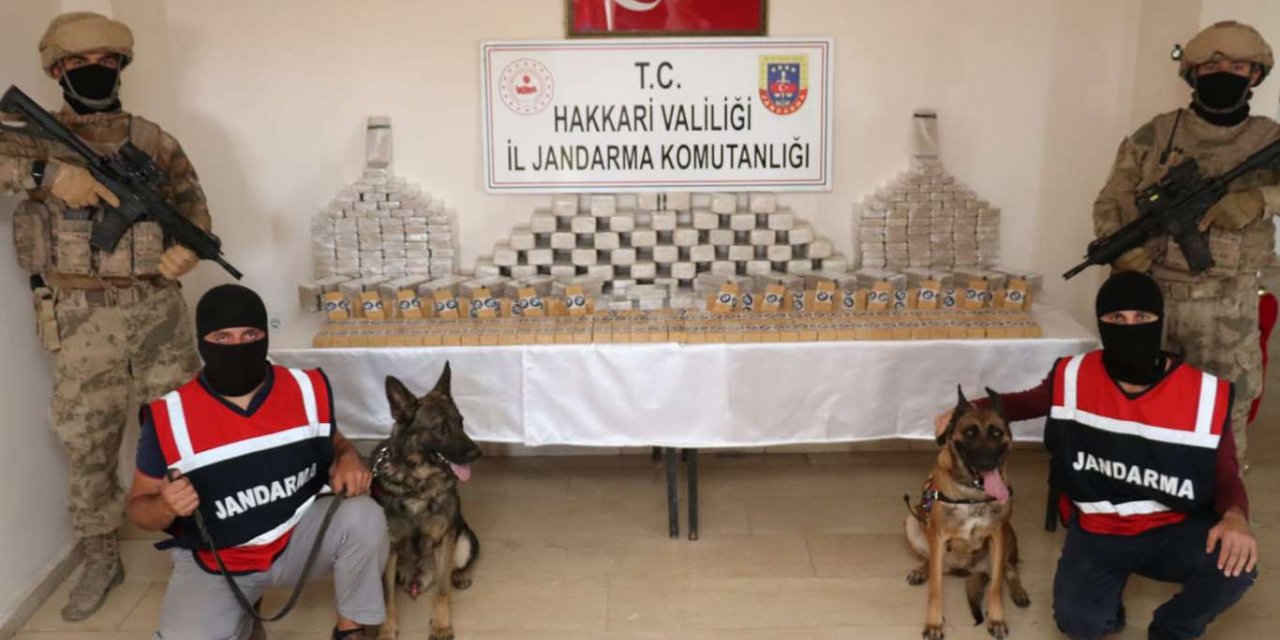 Yüksekova kırsalında uyuşturucu operasyonu