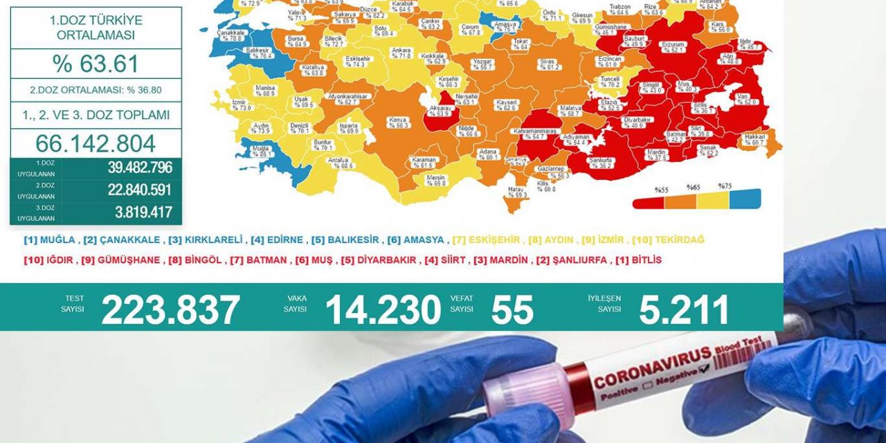 Türkiye'nin son 24 saatlik Covid-19 tablosu: 55 can kaybı 14 bin 230 vaka