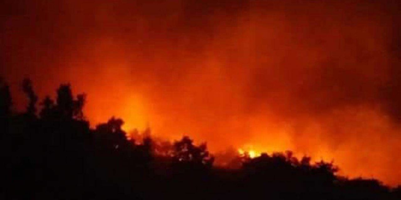 Adana'da orman yangını