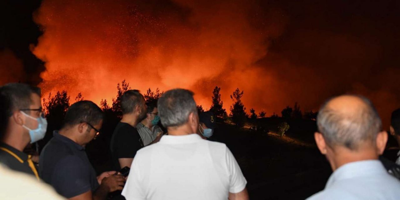 Adana Valisi Elban yangın bölgesinde incelemde bulundu