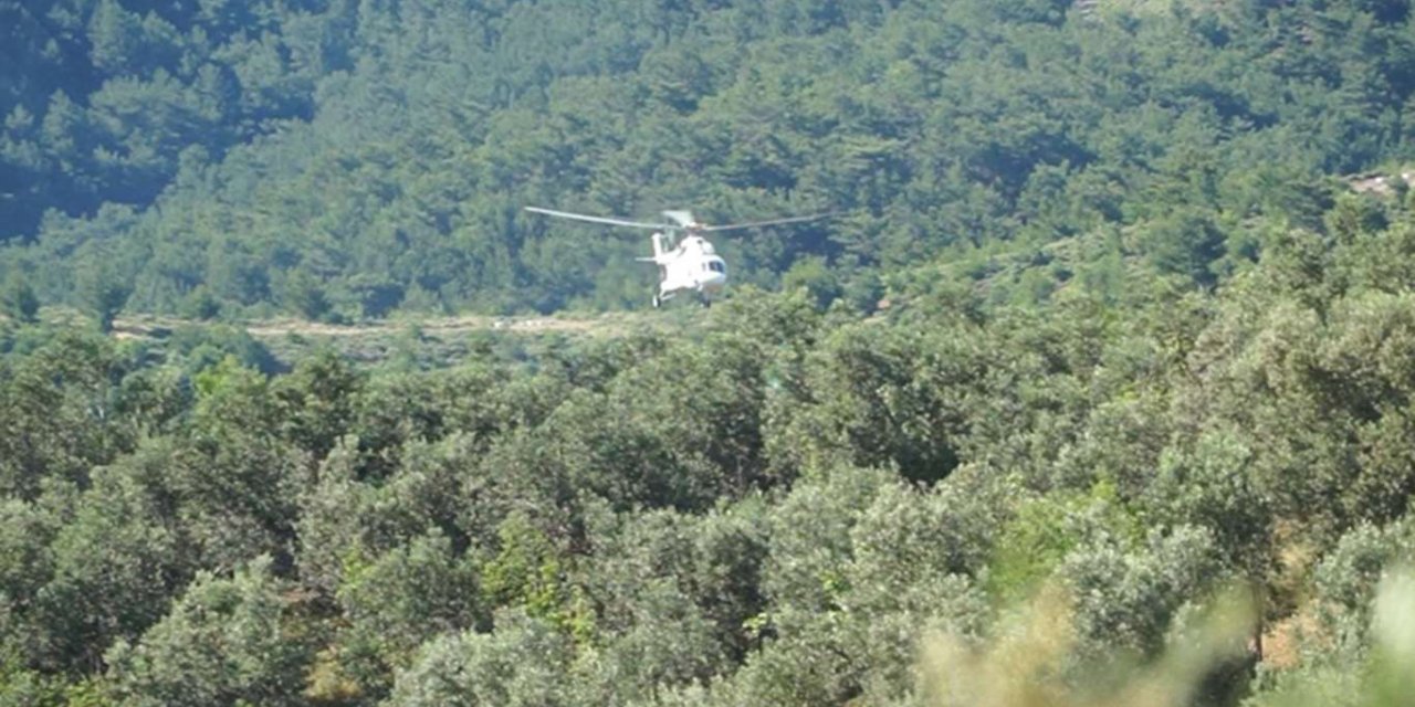 Yangınların önlenmesi için ormanlara giriş 3 ay yasaklandı