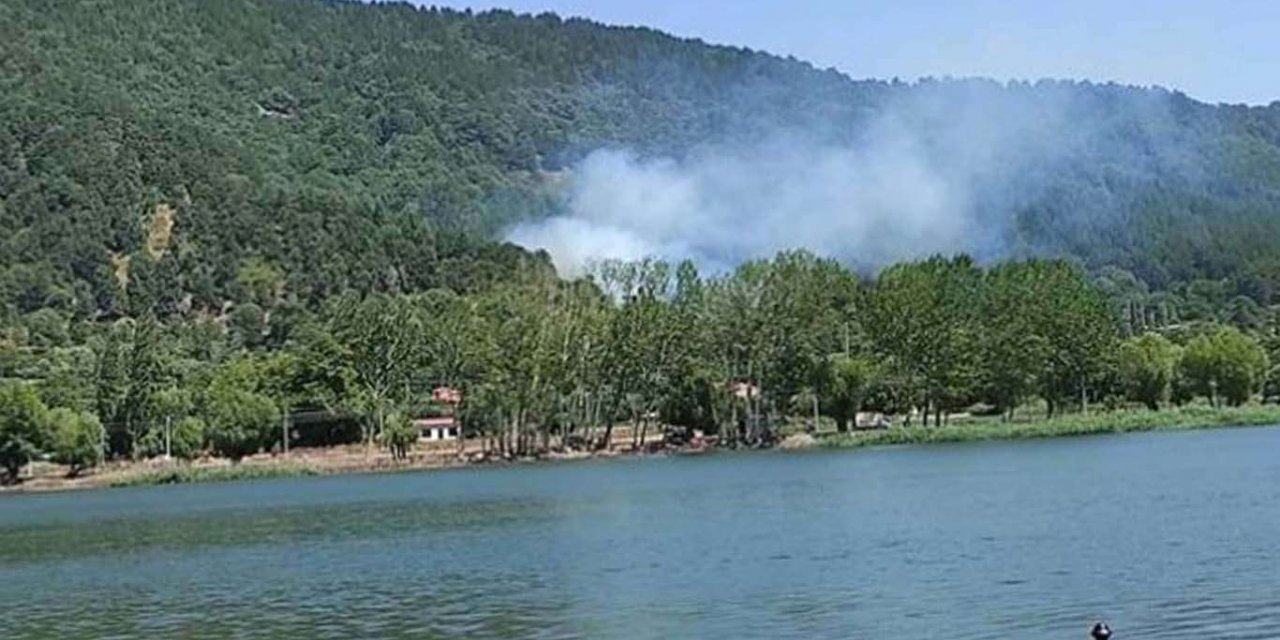 İzmir'de orman yangını