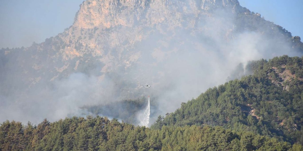 Adana'da 3 gündür devam eden yangın kontrol altına alındı
