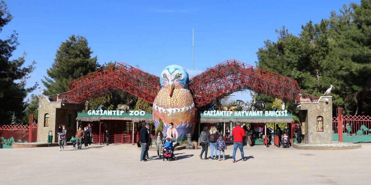 Gaziantep Hayvanat Bahçesi ziyarete kapatıldı