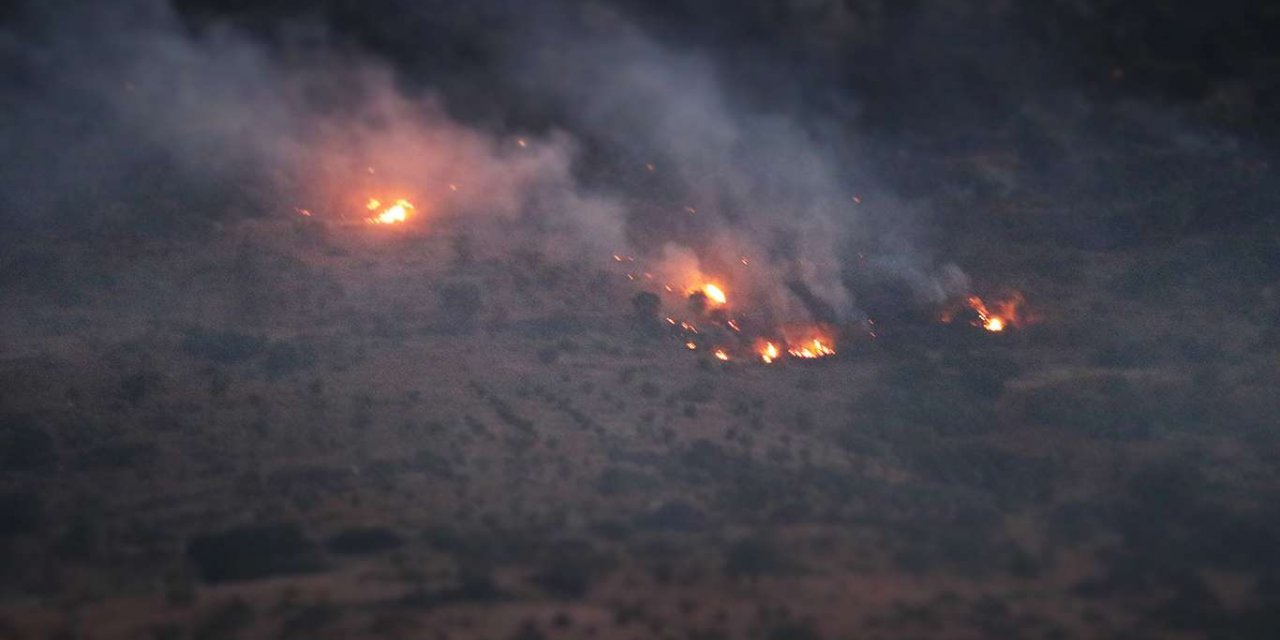 Gaziantep'in Nizip ilçesinde ormanlık alanda çıkan yangın kontrol altına alındı