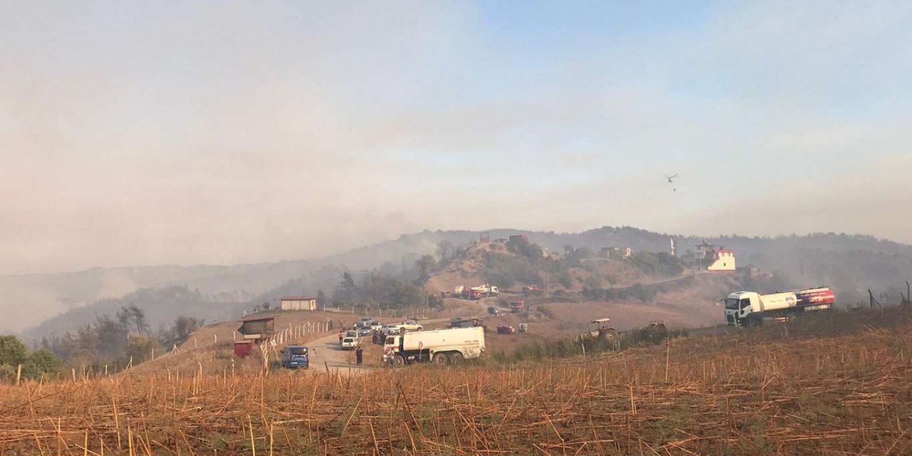 Adana'da orman yangınına müdahale devam ediyor