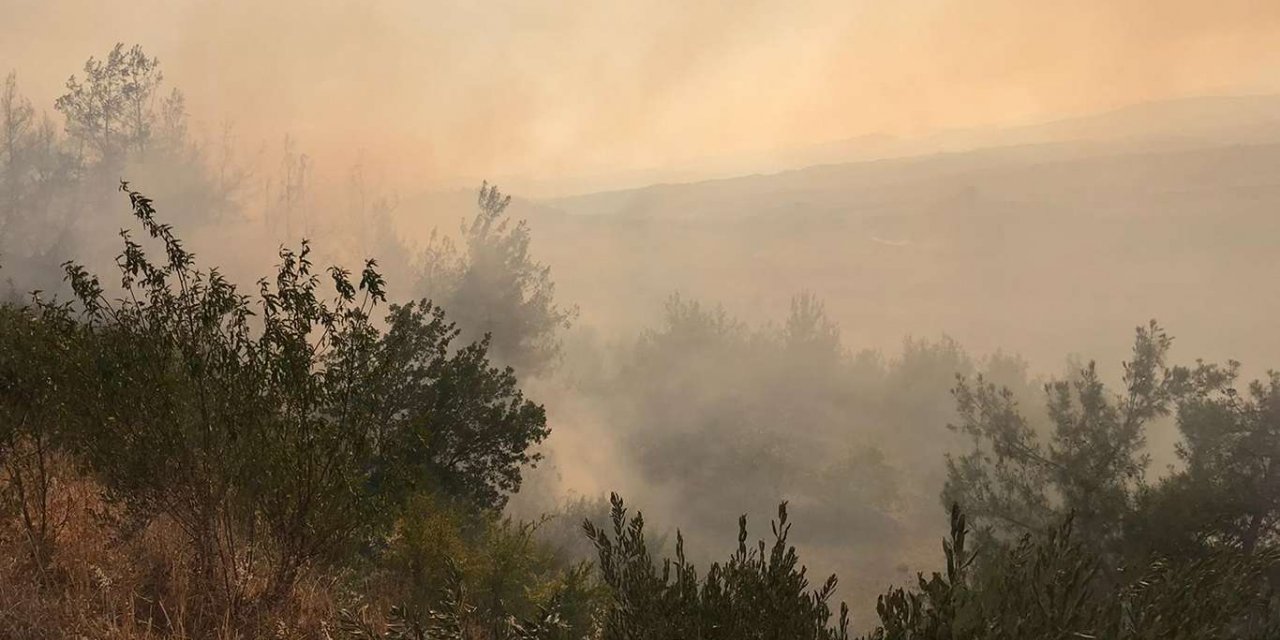 Adana'da çıkan yangın kontrol altına alındı