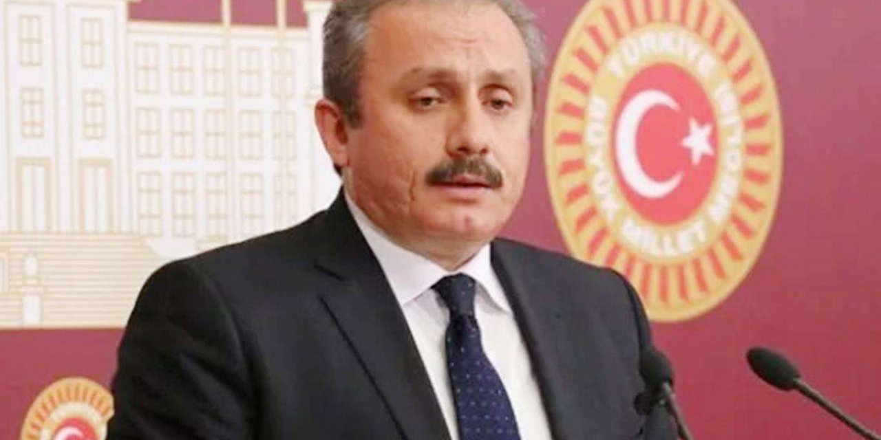 TBMM Başkanı Şentop: Yanan her ağaç, kaybettiğimiz her can için çok üzgünüz