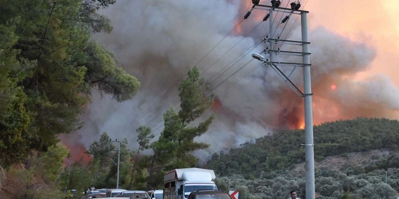 Orman yangınlarının 8'inci gününde son durum