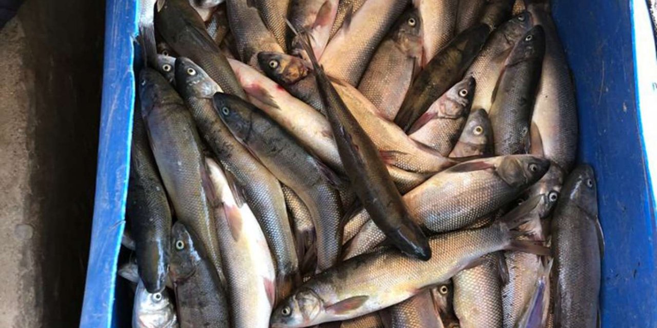 Van’da kaçak avcılık yapan 2 kişiye 3 bin 708 TL para cezası verildi