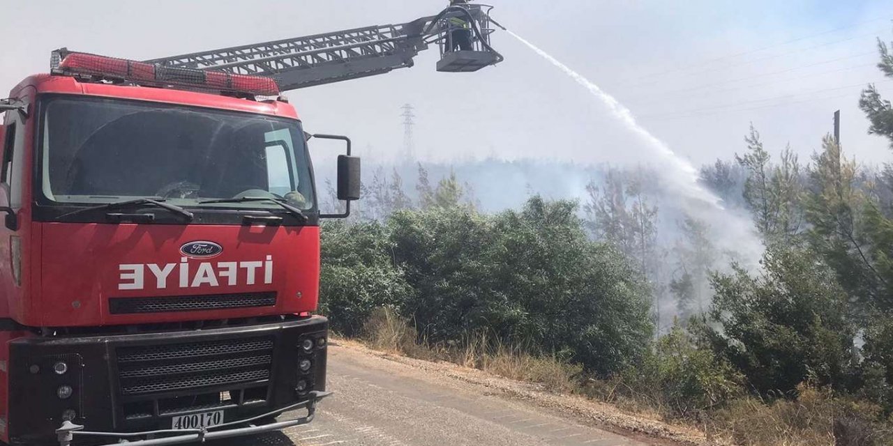 Muğla’da zeytinlik ve ormanlık alandaki yangınlara 6 tutuklama