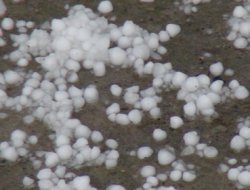 Etkili olan dolu tarlalara zarar verdi