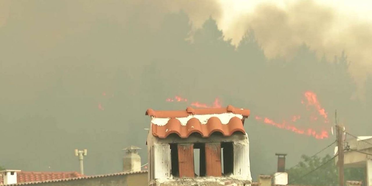 Şewata daristanê ya li Yunanistanê ji ber tesîra bayê her ku diçe belavî zêdetir herêman dibe