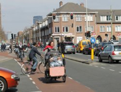 Lahey'deki Müslümanlar Hedef Gösteriliyor