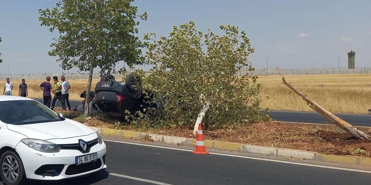 ​Diyarbakır'da kontrolden çıkan otomobil ağacı devirdi: 1 yaralı