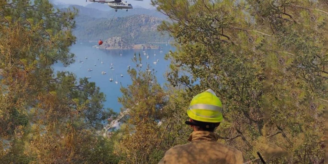 Orman Genel Müdürlüğü: 7 yangın kontrol altına alındı