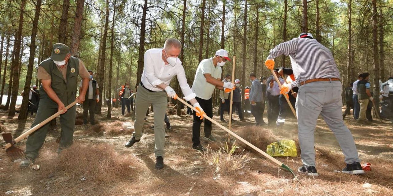 Gaziantep Valisi Gül: Ormanlarda tedbirlerimizi artırdık