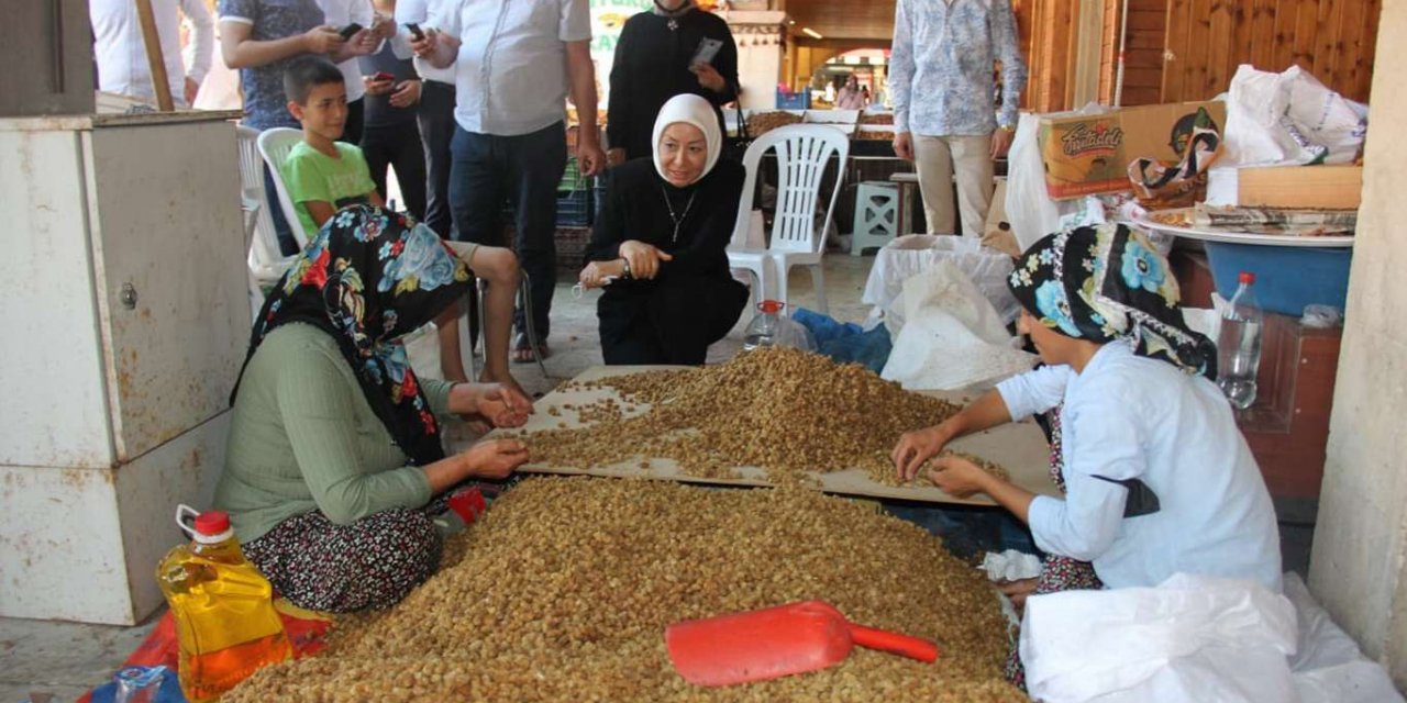 ​Malatya kuru kayısıdan son 10 yılda 3,5 milyar dolarlık ihracat geliri elde etti